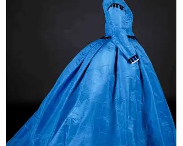 Les dessous de la mode, structures et armatures de la Renaissance au 19e siècle