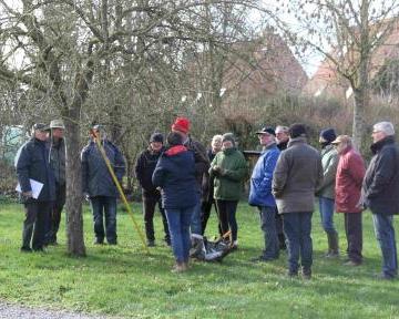 Stage de taille des fruitiers
