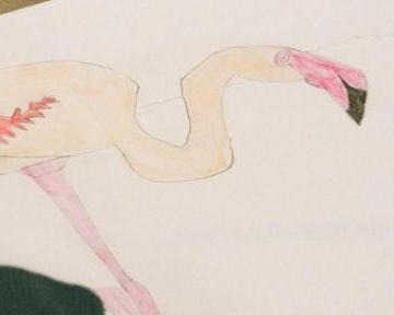 Atelier Dessin - au Mini-Lab / Le MHN fait le Mur