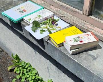 Les sorties Naturellement ?