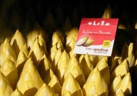 La Ferme aux Chiconnettes