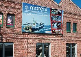 Maréis