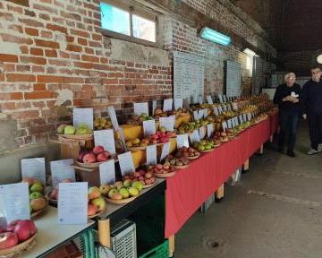 Fête de la Pomme