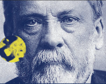 Musée Pasteur