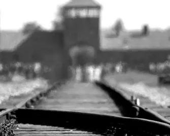 Le corps à l'épreuve d'Auschwitz