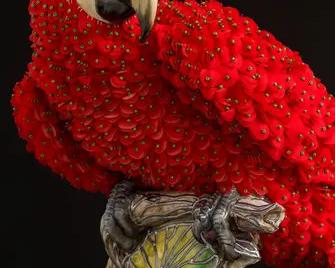 Exposition Maurizio Galante et Tal Lancman à la Cité de la dentelle et de la mode
