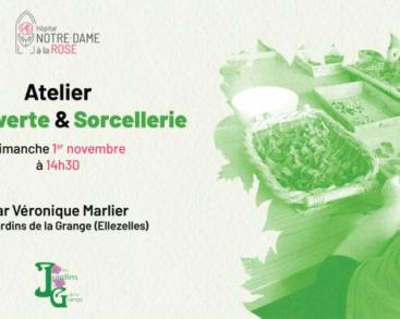 Atelier Magie verte et Sorcellerie