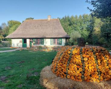 Fête de la citrouille