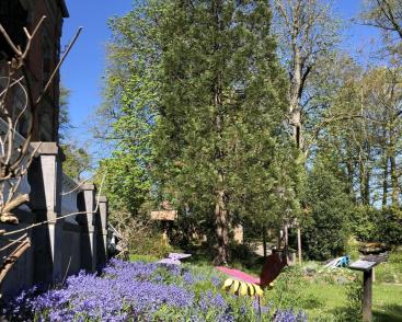 Biodiversité en ville
