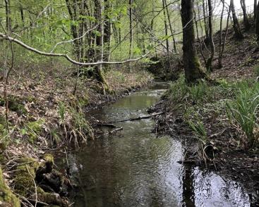 Patrimoine naturel en danger de la région
