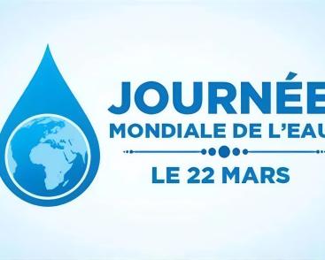 Journée mondiale de l'eau