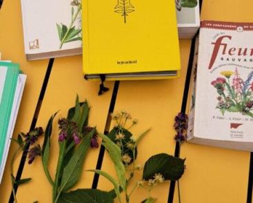 Les sorties Naturellement ?