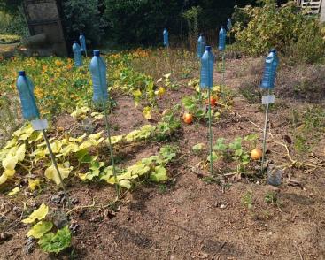 Comment adapter nos jardins aux nouvelles problématiques climatiques ?
