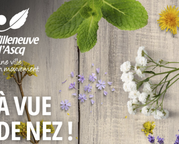 À vue de Nez !