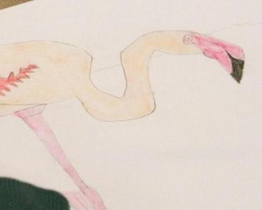 Atelier Dessin - au Mini-Lab / Le MHN fait le Mur