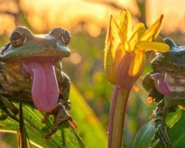 ATELIER | C'est la fête à la Grenouille