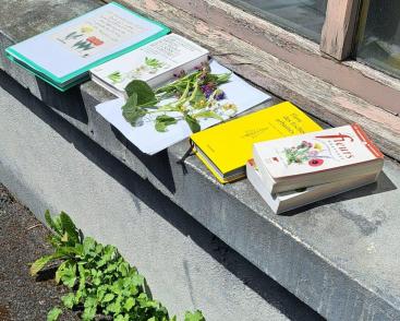 Les sorties Naturellement ?